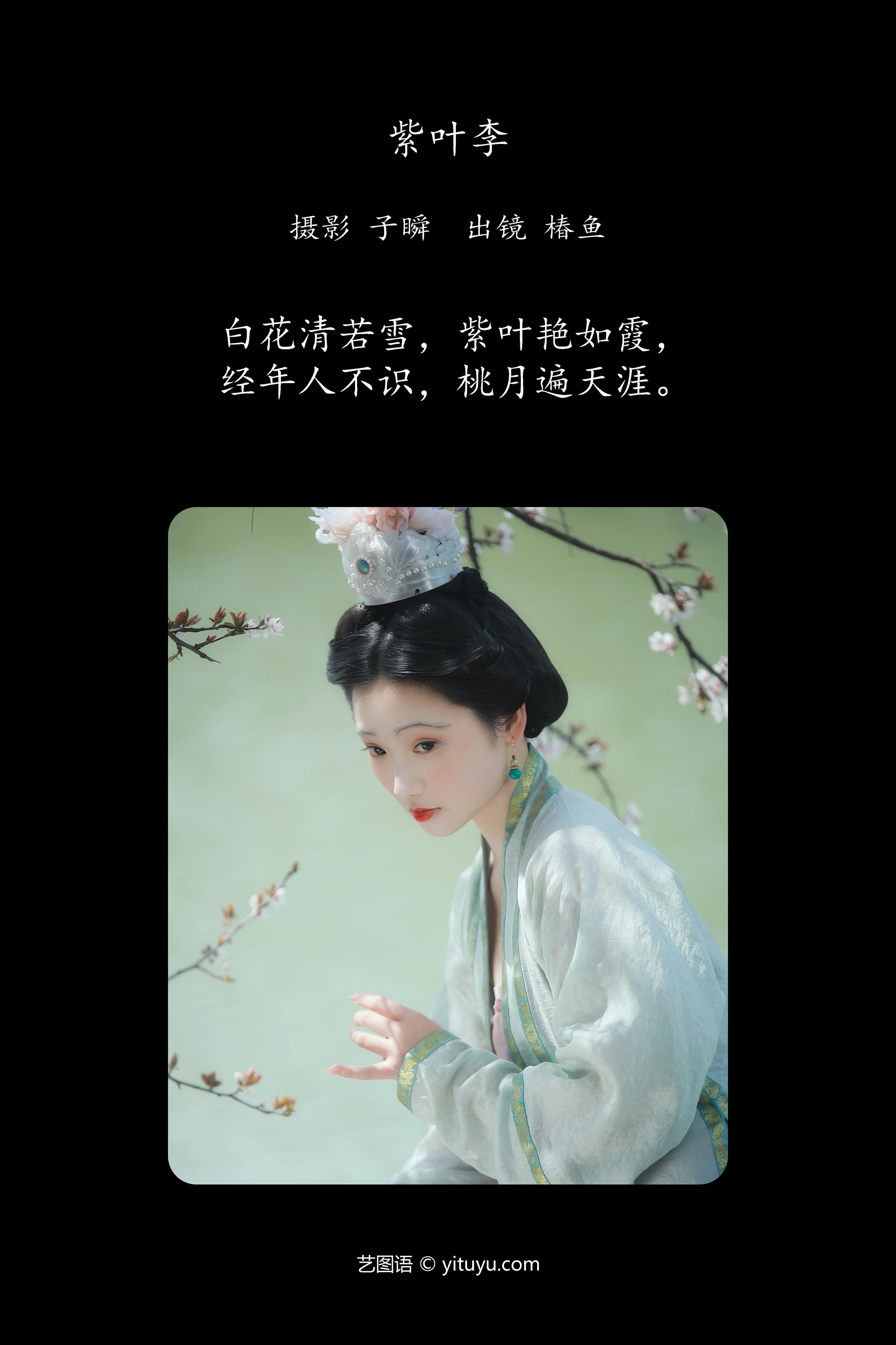 [YITUYU艺图语]2024.10.19 紫叶李 椿鱼 0